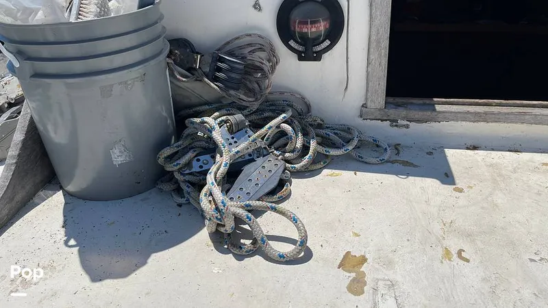 Slide: The Image of Randel Jencks 34'6S 1992 - 8939443