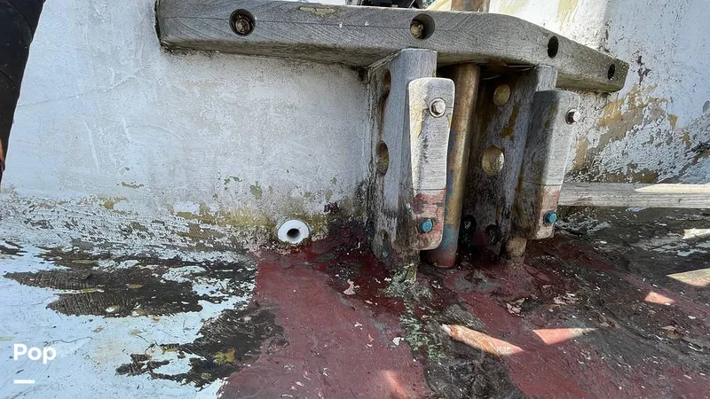 Slide: The Image of Randel Jencks 34'6S 1992 - 8939444