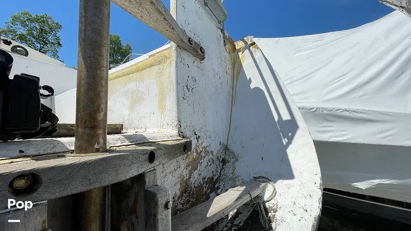 Slide: The Image of Randel Jencks 34'6S 1992 - 8939447