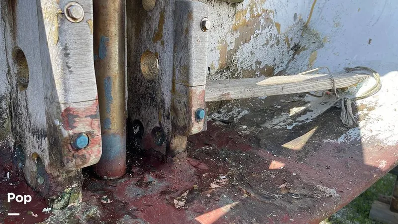 Slide: The Image of Randel Jencks 34'6S 1992 - 8939450