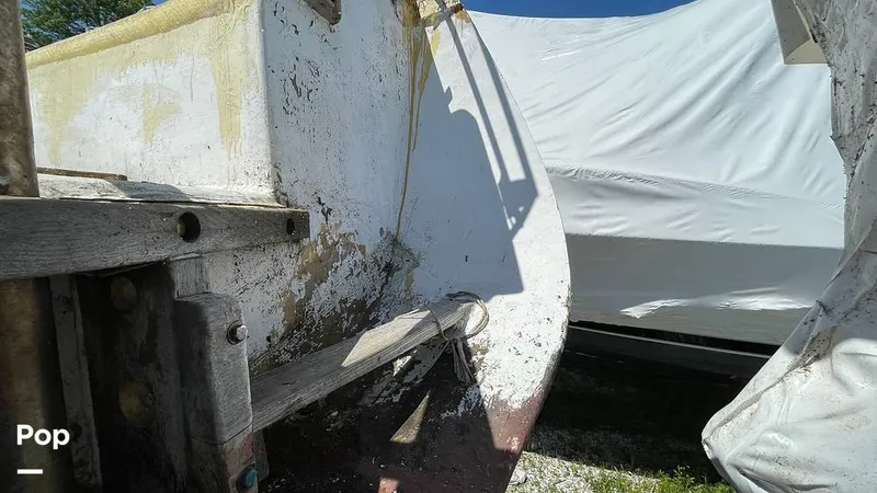 Slide: The Image of Randel Jencks 34'6S 1992 - 8939452