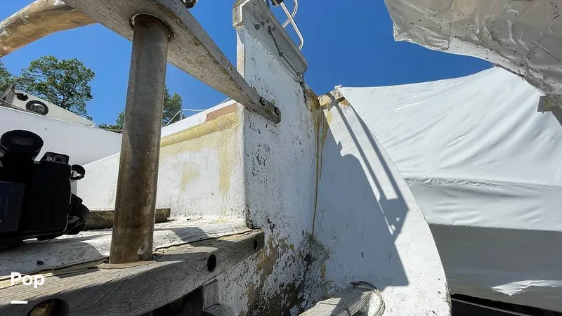 Slide: The Image of Randel Jencks 34'6S 1992 - 8939454