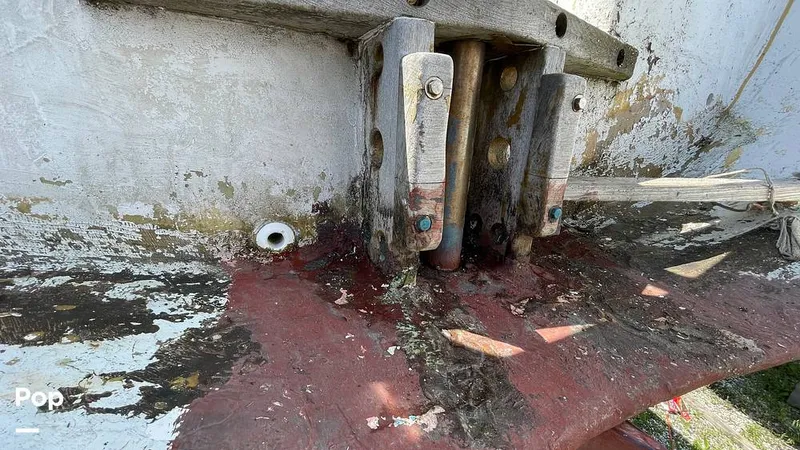 Slide: The Image of Randel Jencks 34'6S 1992 - 8939458