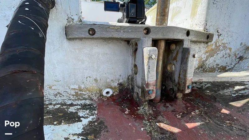 Slide: The Image of Randel Jencks 34'6S 1992 - 8939460