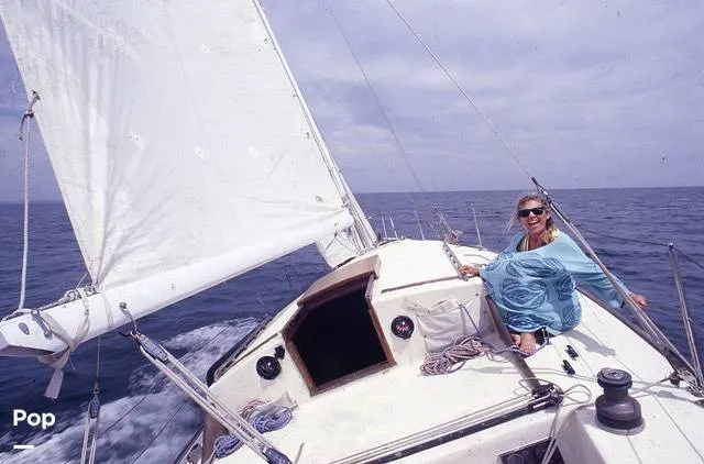 Slide: The Image of Randel Jencks 34'6S 1992 - 8719979