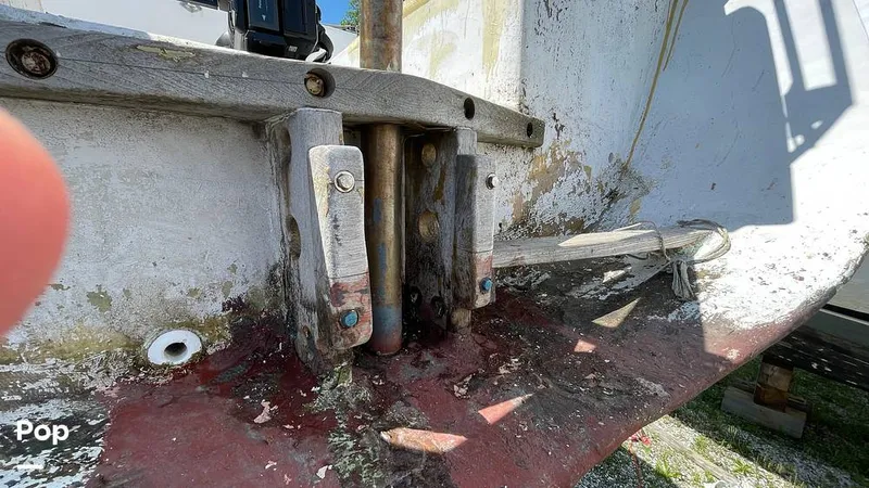 Slide: The Image of Randel Jencks 34'6S 1992 - 8939462