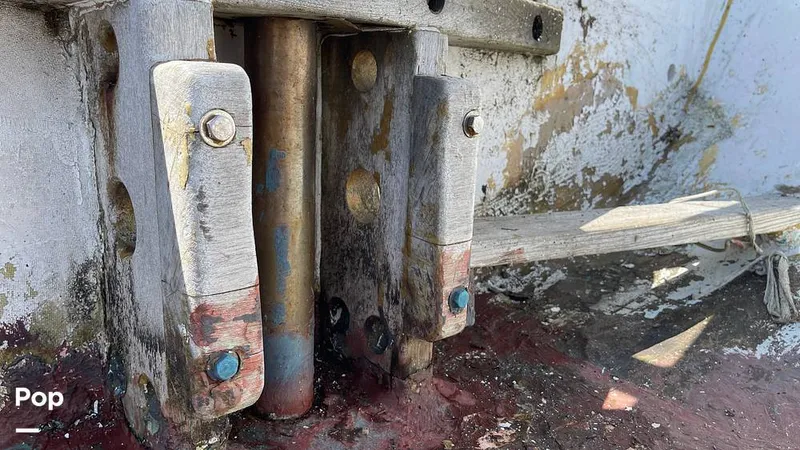 Slide: The Image of Randel Jencks 34'6S 1992 - 8939464