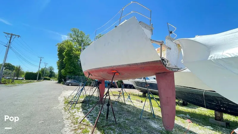 Slide: The Image of Randel Jencks 34'6S 1992 - 8939003