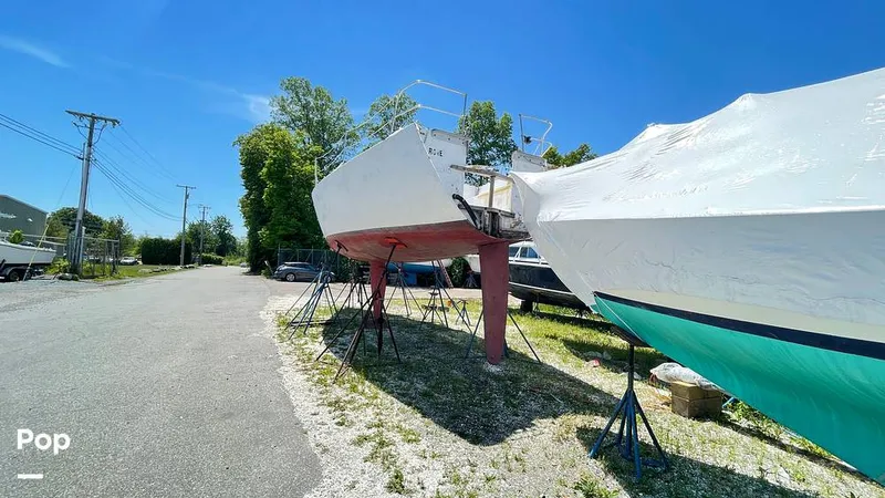 Slide: The Image of Randel Jencks 34'6S 1992 - 8939009