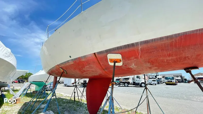 Slide: The Image of Randel Jencks 34'6S 1992 - 8939018