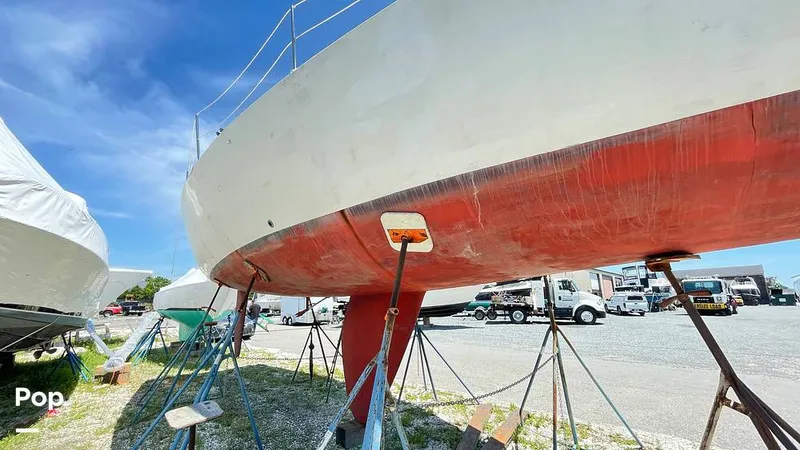 Slide: The Image of Randel Jencks 34'6S 1992 - 8939025