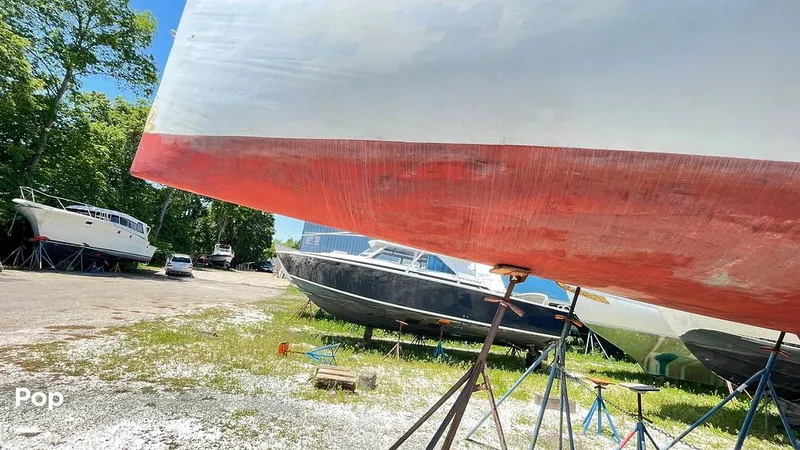 Slide: The Image of Randel Jencks 34'6S 1992 - 8939045