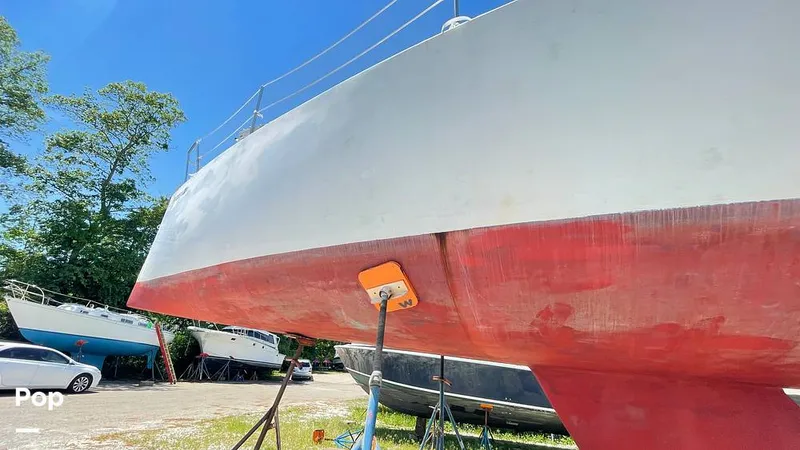 Slide: The Image of Randel Jencks 34'6S 1992 - 8939047