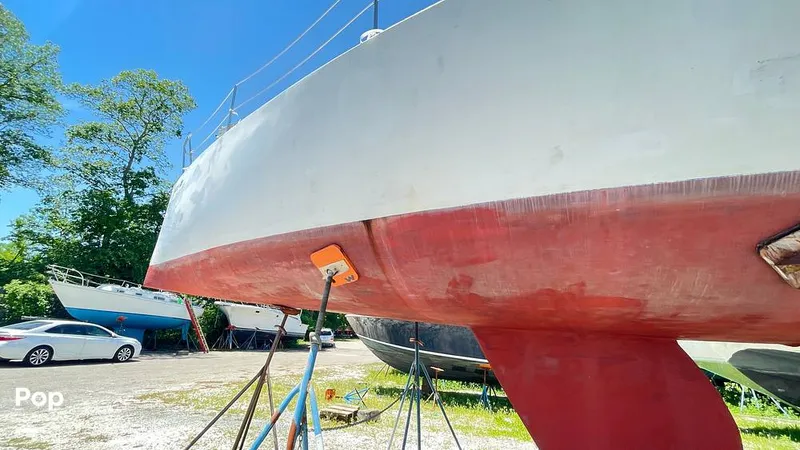 Slide: The Image of Randel Jencks 34'6S 1992 - 8939049