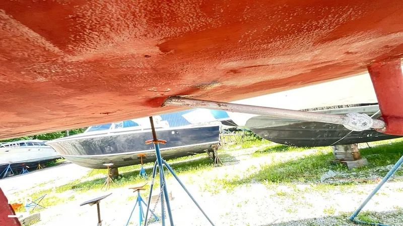 Slide: The Image of Randel Jencks 34'6S 1992 - 8939052