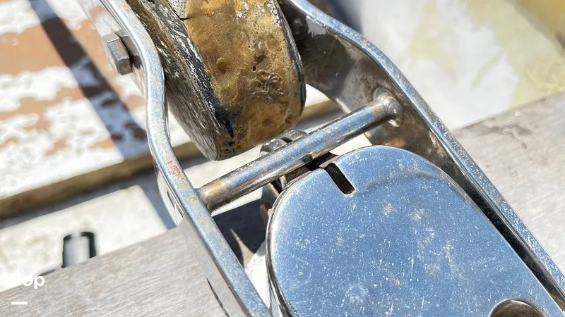 Slide: The Image of Randel Jencks 34'6S 1992 - 8939055