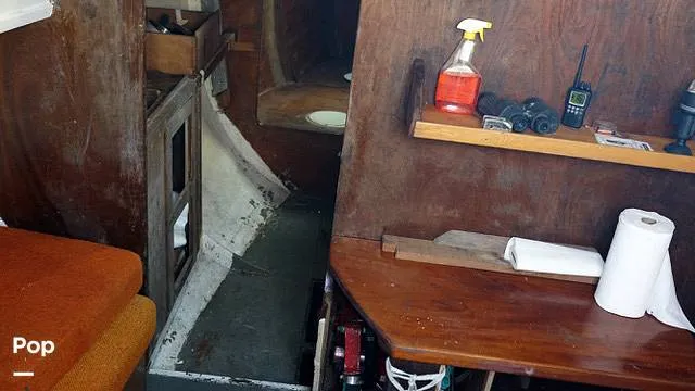 Slide: The Image of Randel Jencks 34'6S 1992 - 8719980