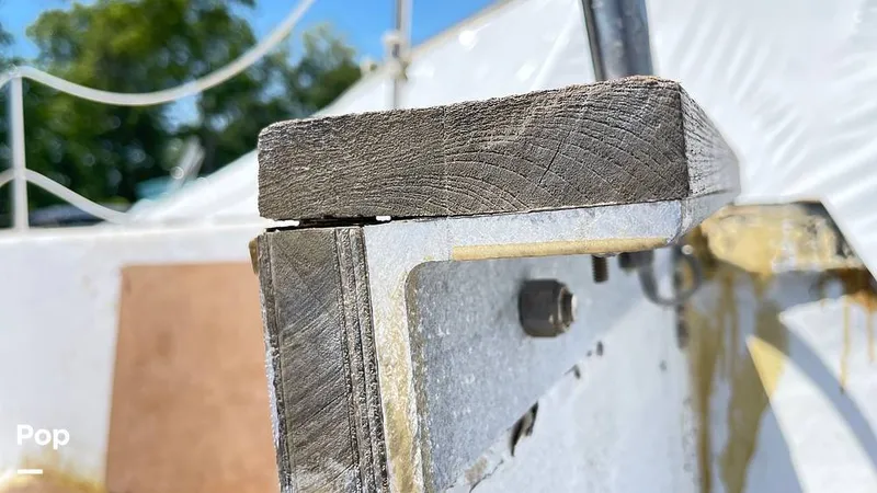 Slide: The Image of Randel Jencks 34'6S 1992 - 8939081