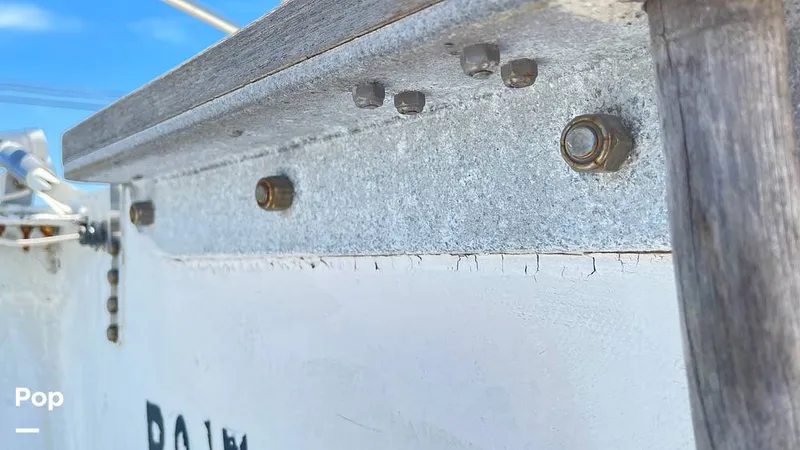 Slide: The Image of Randel Jencks 34'6S 1992 - 8939085