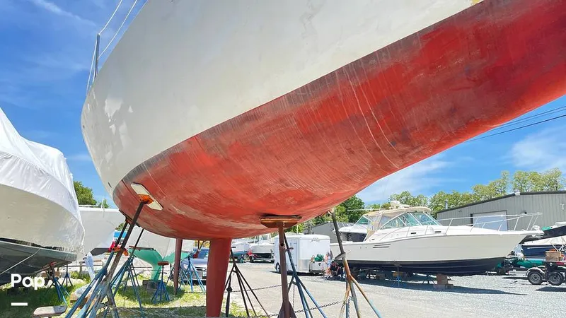 Slide: The Image of Randel Jencks 34'6S 1992 - 8938909