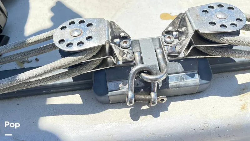 Slide: The Image of Randel Jencks 34'6S 1992 - 8939089