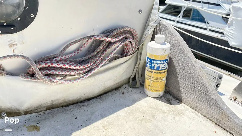 Slide: The Image of Randel Jencks 34'6S 1992 - 8939093