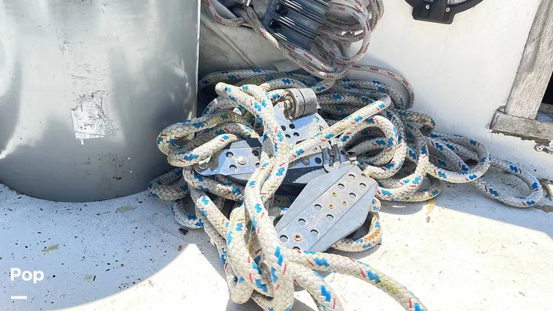 Slide: The Image of Randel Jencks 34'6S 1992 - 8939096