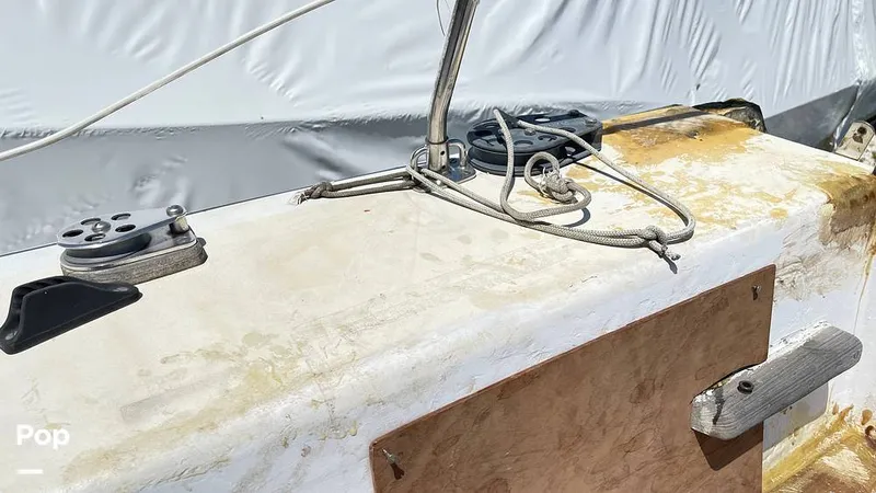 Slide: The Image of Randel Jencks 34'6S 1992 - 8939102