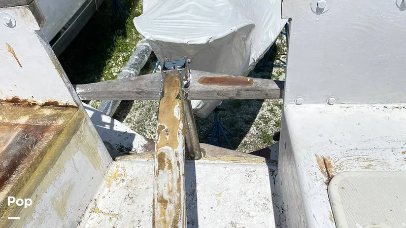 Slide: The Image of Randel Jencks 34'6S 1992 - 8939107