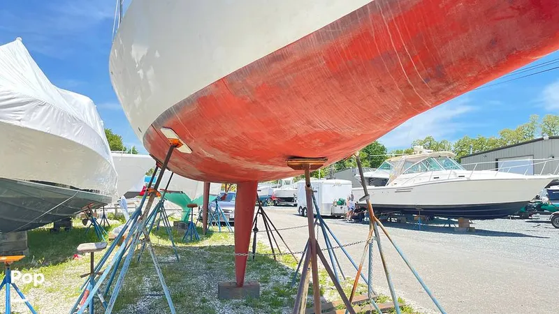 Slide: The Image of Randel Jencks 34'6S 1992 - 8938911