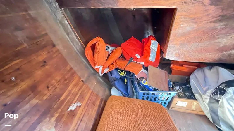 Slide: The Image of Randel Jencks 34'6S 1992 - 8939116