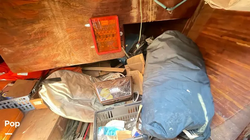 Slide: The Image of Randel Jencks 34'6S 1992 - 8939120