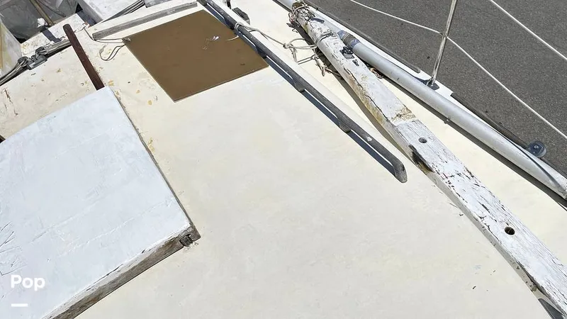 Slide: The Image of Randel Jencks 34'6S 1992 - 8939145