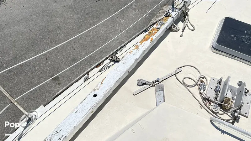 Slide: The Image of Randel Jencks 34'6S 1992 - 8939149