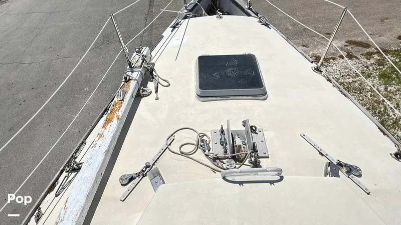 Slide: The Image of Randel Jencks 34'6S 1992 - 8939154