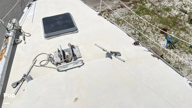 Slide: The Image of Randel Jencks 34'6S 1992 - 8939156