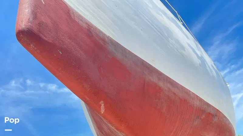 Slide: The Image of Randel Jencks 34'6S 1992 - 8938915