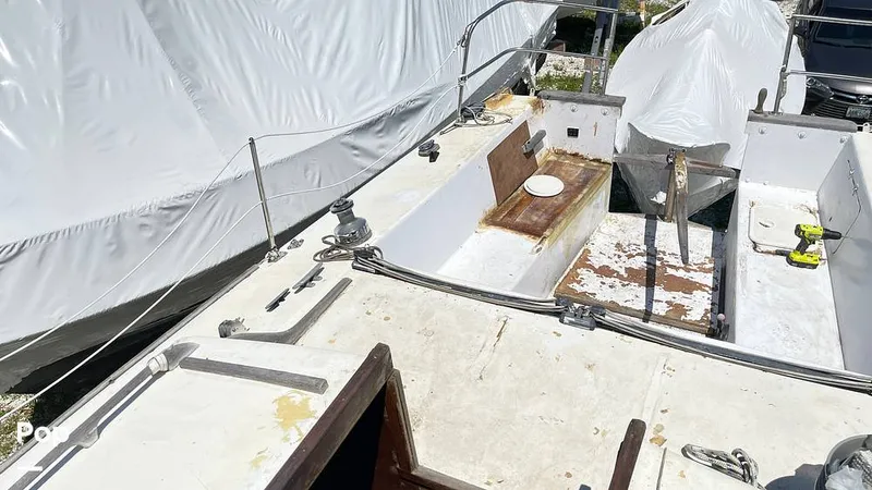 Slide: The Image of Randel Jencks 34'6S 1992 - 8939166