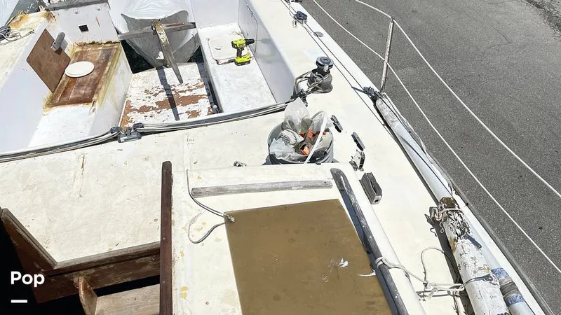 Slide: The Image of Randel Jencks 34'6S 1992 - 8939169