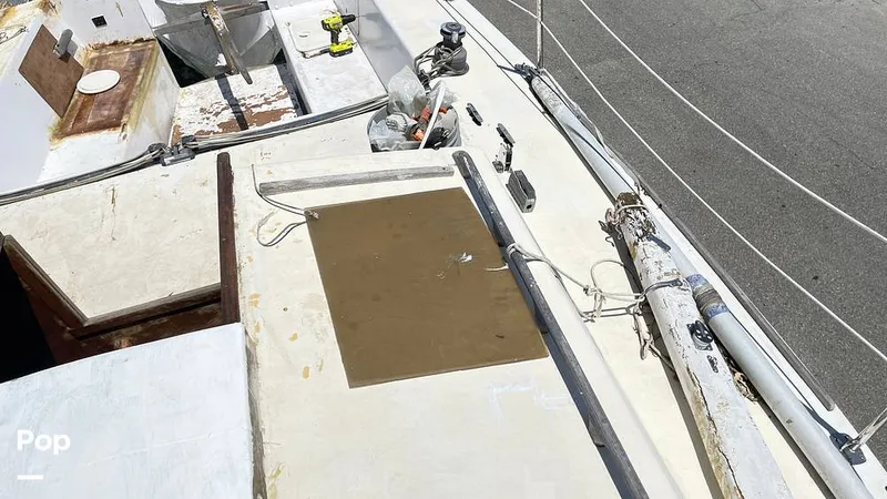 Slide: The Image of Randel Jencks 34'6S 1992 - 8939170