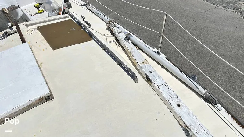 Slide: The Image of Randel Jencks 34'6S 1992 - 8939173