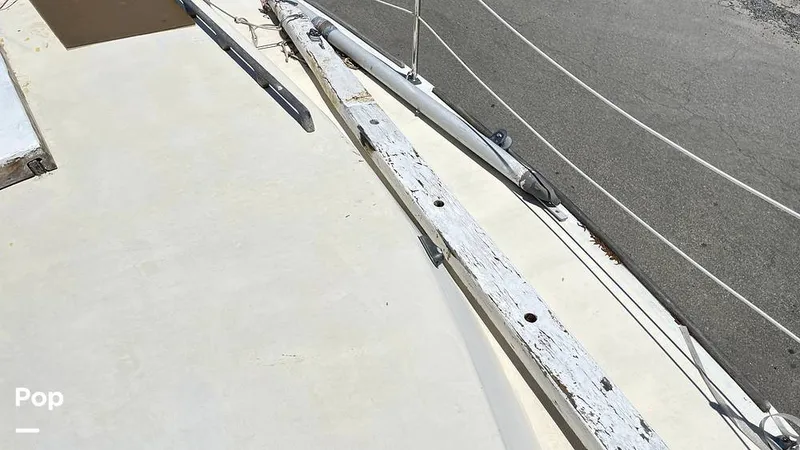 Slide: The Image of Randel Jencks 34'6S 1992 - 8939174