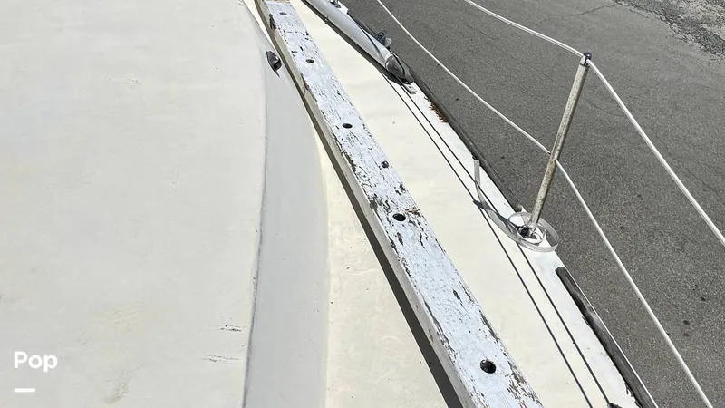 Slide: The Image of Randel Jencks 34'6S 1992 - 8939175