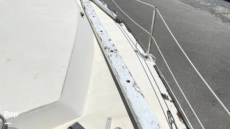 Slide: The Image of Randel Jencks 34'6S 1992 - 8939176