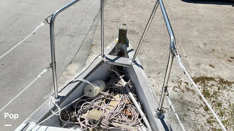 Slide: The Image of Randel Jencks 34'6S 1992 - 8939181