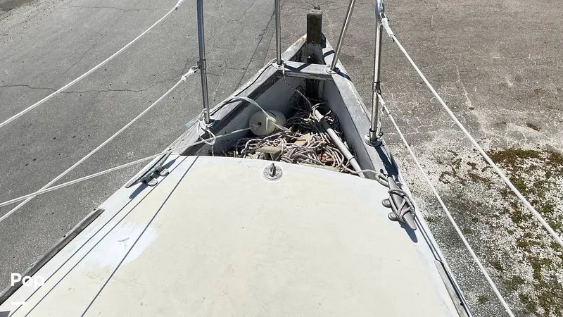 Slide: The Image of Randel Jencks 34'6S 1992 - 8939182