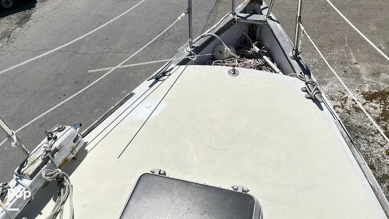 Slide: The Image of Randel Jencks 34'6S 1992 - 8939183