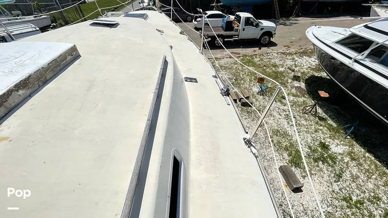 Slide: The Image of Randel Jencks 34'6S 1992 - 8939185