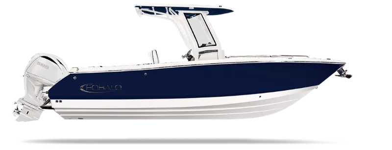 The Image of Robalo R250 2027 - 0