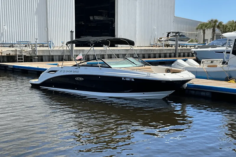 Slide: The Image of Sea Ray 250SDX 2019 - 2